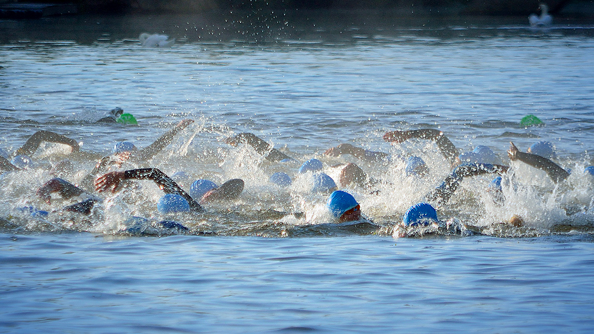 Openwater Swimming