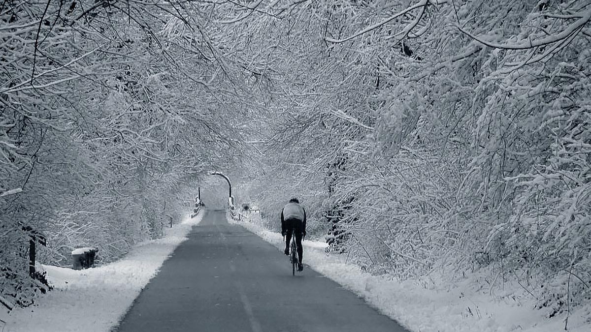 A Cyclist On A Bikeway In The Winter With Snow On Trees In Black And White