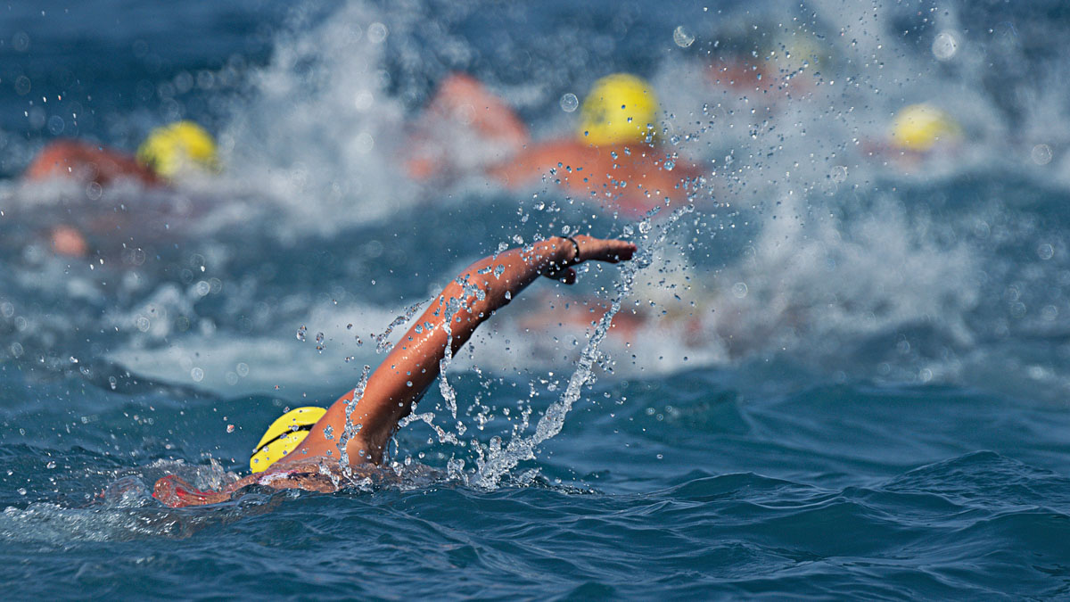 Triathlon Swimmers Inthe Open Sea,view From Behind