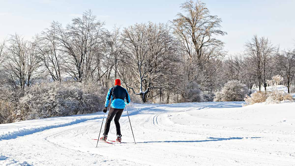 A Man Practicing Nordic Skiing In Winter Season