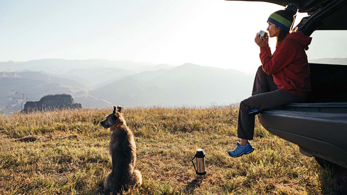 Young Woman Drinks Coffee Sitting In Back Of Car In The Mountains With Dog