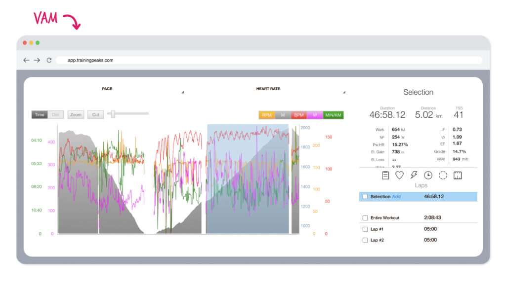 screenshot of a runner's VAM in TrainingPeaks app