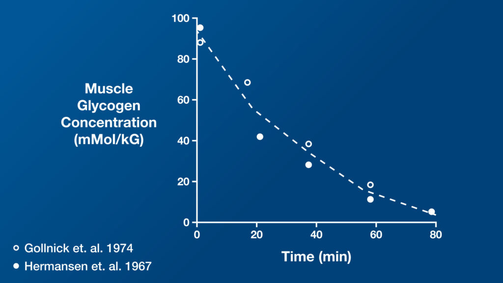 Muscle Glycogen Chart vs Time