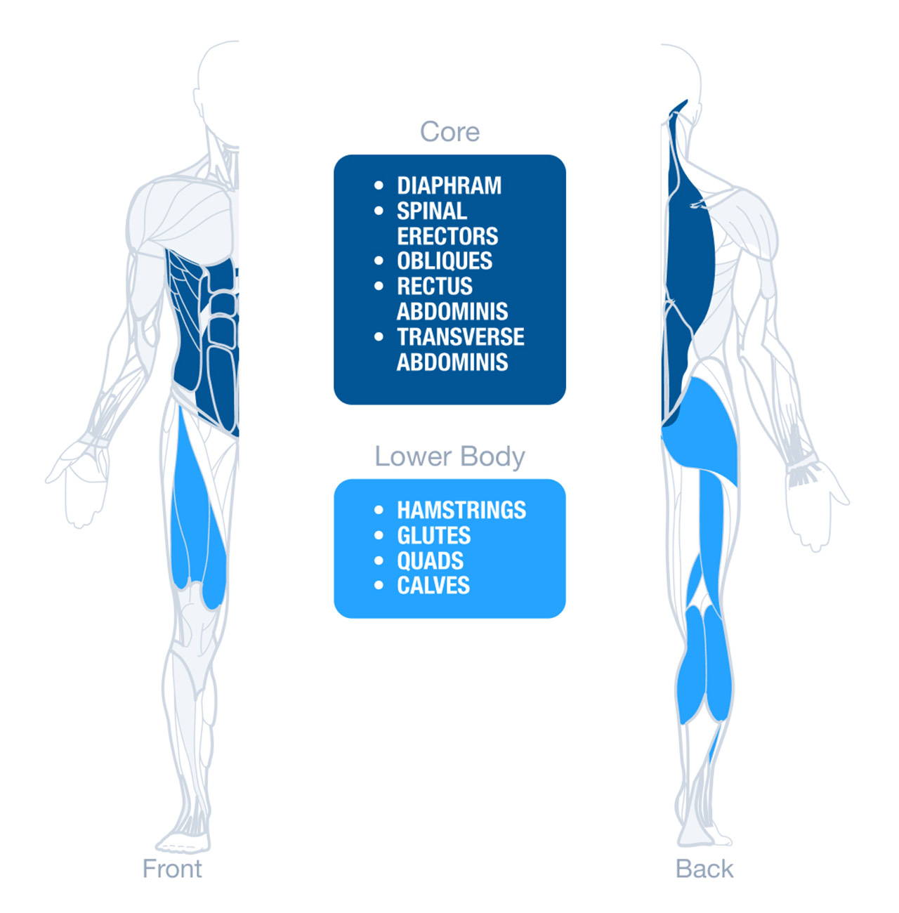 Muscles Used While Running For Strength Training