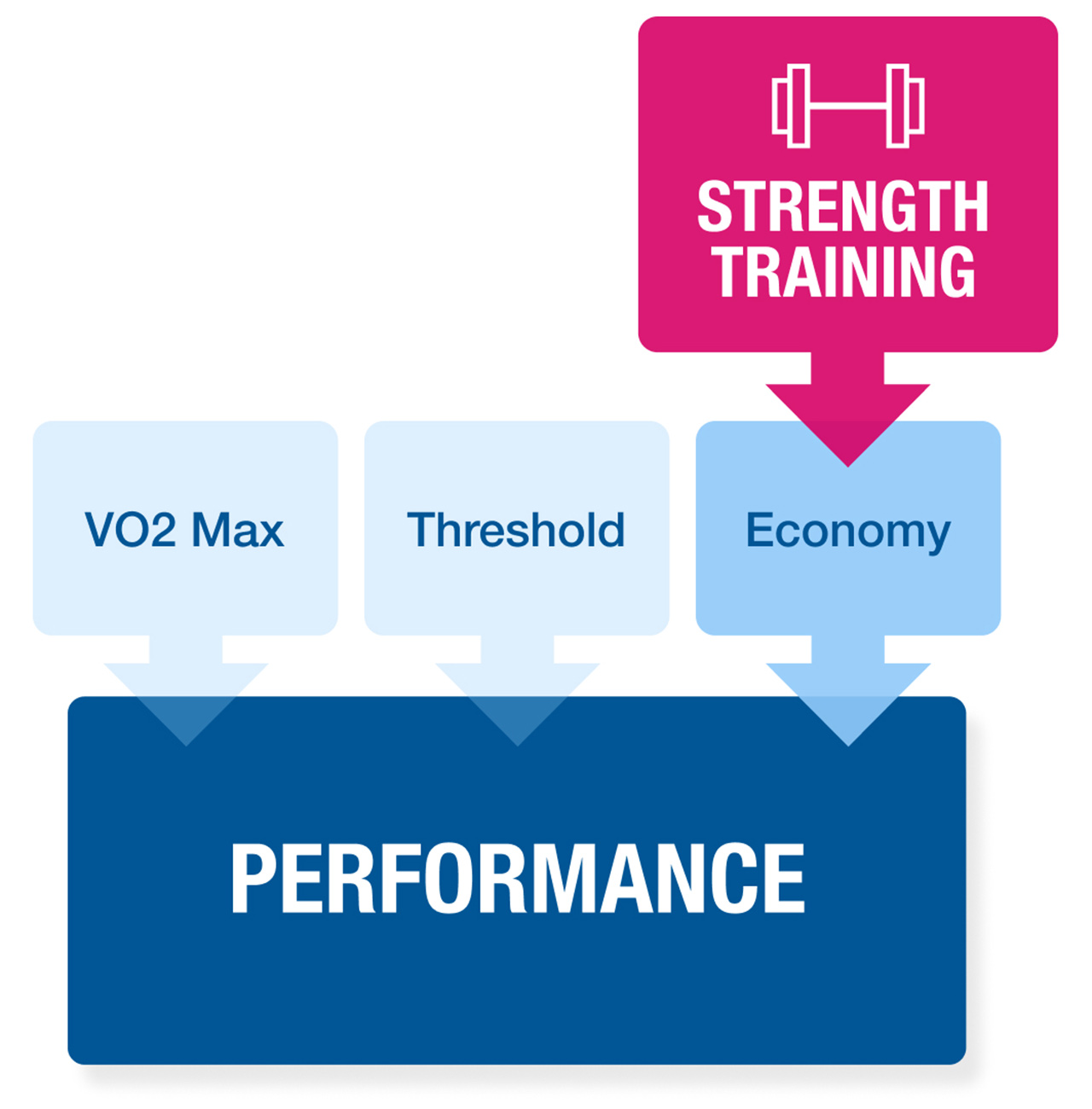 Strength And Economy Equals Performance For Strength Training