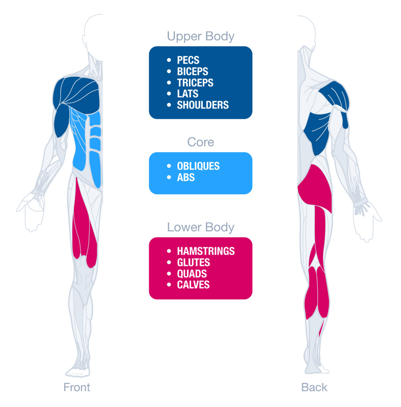 Strength Guide Training Example