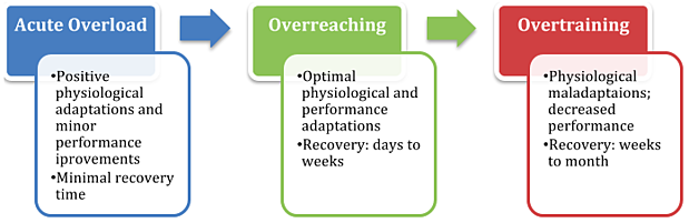 an infographic showing the progression of training load