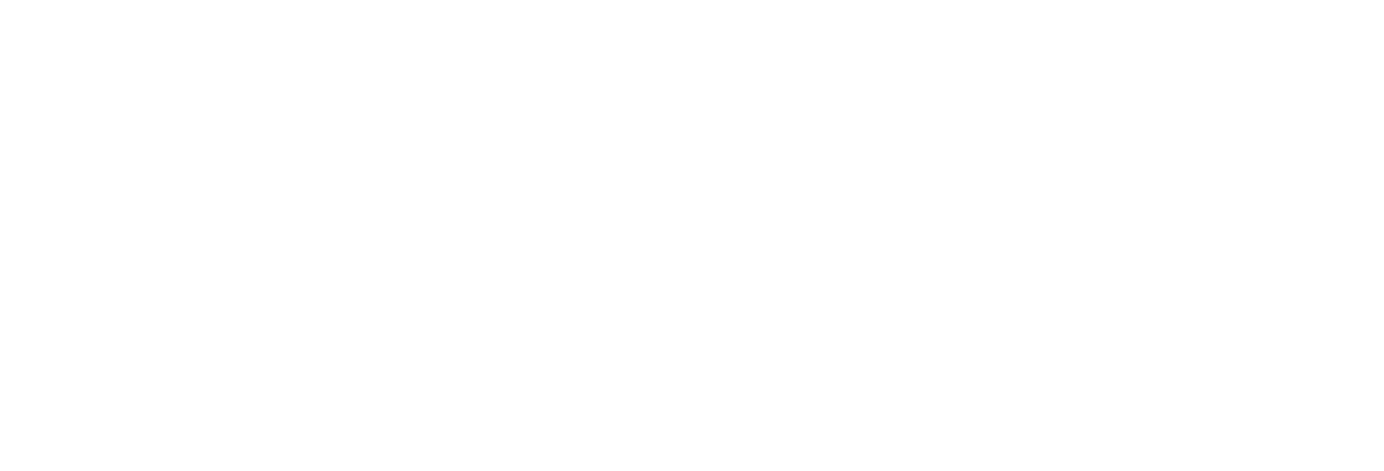 Endure Iq Logo