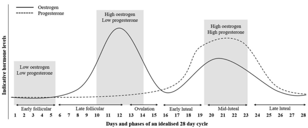 A graph showing the variation of HRV throughout the menstrual cycle