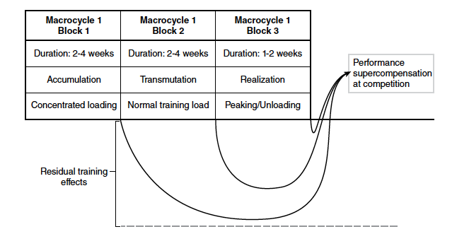 graphic depicting the cycles of block periodization