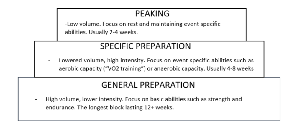 infographic depicting types of periodization methods